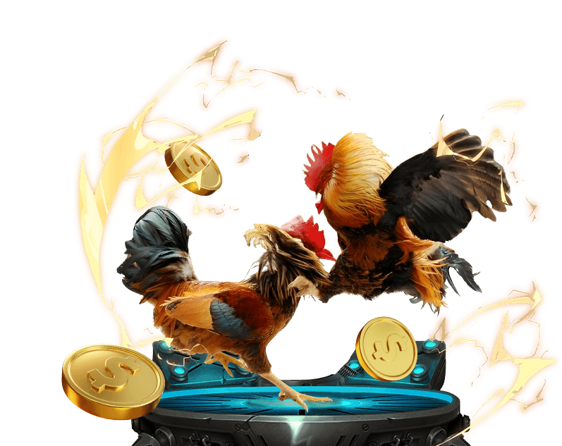 Gà chiến S66 đang thi đấu trên sàn đấu trực tuyến