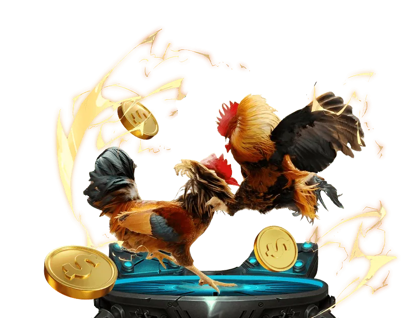 Gà chiến S66 đang thi đấu trên sàn đấu trực tuyến